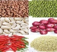 Nông sản nội địa